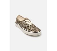 Vans Authentic w 40 Marrón