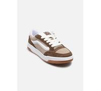 Vans Hylane 40 Marrón