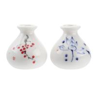 VANZACK 2 Piezas Jarrón de Cerámica Mini Blanco para Flores y Plantas,