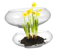 VANZACK 2 Piezas Maceteros de Transparente para Plantas y Flores Cuencos Decorativos de Vidrio para y Pecera Redonda Medianos y Grandes para Decoración Mesa o Escritorio