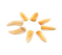 VANZACK 8piezas Uñas Guzheng Protectores de Uñas para Tocar Instrumentos de Cuerda Escenario de Actuación Profesional