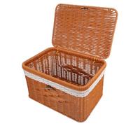 VANZACK Cesta de Almacenamiento Tejida de Ratán PP con Estructura de Hierro Rectangular Mediana 28X19X17 CM Marrón con Encaje Caja Organizadora Multiusos para Armario Sala y Juguetes