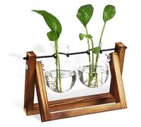 VANZACK Contenedor de Plantas Verdes jarrón hidropónico jarrón de propagación Jardinera de Vidrio de Escritorio de plantación Simple sembradora hidropónica florero de Vidrio Madera