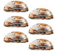 VAPOKF 6 manijas de taza de concha, pomos semicirculares para cajones, manijas utilizadas para dormitorio, tocador, armario, puerta de cocina, hámster come nueces
