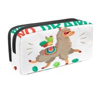 VAPOKF Estuche para bolígrafos, estuche de papelería para estudiantes, para adolescentes, niños, niñas, suministros de oficina escolar, sin llama dramática con cactus, multicolor,