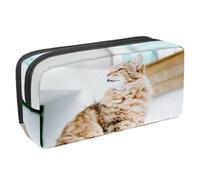 VAPOKF Estuche para bolígrafos, estuche de papelería para estudiantes, para adolescentes, niños, niñas, suministros de oficina escolar, gato persa pastoral de pelo largo, multicolor,