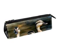 VAPOKF Three Indian Runner Ducks - Bolsa para bolígrafos, artículos de papelería, bolsa de cosméticos, bolsa compacta con cremallera