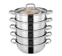 Vaporera de 5 capas de acero inoxidable 304, diámetro interior 29,5 cm, gran juego de vaporizador para todo tipo de cocinas, incluye tapa transparente, ideal para la familia y la cocina