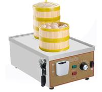 Vaporera EléCtrica Comercial, con Alarma De Quema En Seco + Suministro De Agua Independiente, Ajuste De Temperatura 30-110 ° C, MáQuina para Hacer Bollos Al Vapor para El Desayuno,2Holes