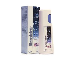 Vaporizador Ermidra 300ml