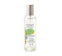 Vaporizador Spray Para Ambiente 100Ml Naranja Y Té Verde Esteban