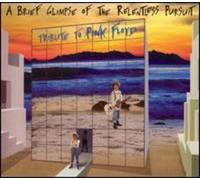 Vari-a Brief Glimpse - A Brief Glimpse...Tribute to Pink F