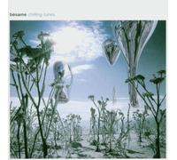 Vari-Besame-Chilling - Besame-Chilling Tunes