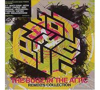 Vari-Got the Bug - Got the Bug