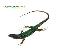 Vari-Las Salinas - Las Salinas 2005