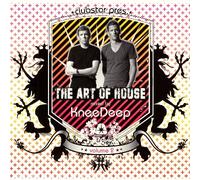 Vari-the Art of Hous - The Art of House Vol.2