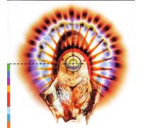 Vari-Voices of the R - Voices of the Realworld