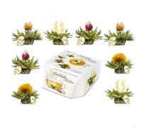 Variación de flores de té “Té Floreciente Teelini” de Creano, en un exclusivo formato para tazas / 8 flores de té en 4 variaciones diferentes (té blanco)