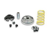 Variador Multivar 2000 compatible con Honda Helix 250 4T LC Malossi 5118627