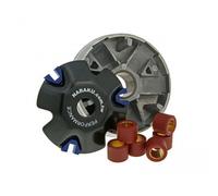 Variador Naraku Standard LB50QT-21 LEOPARDS