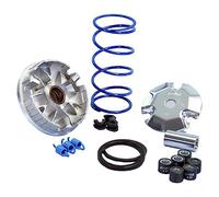 Variador Polini Aerox, Sonic Bulón D.13 (241670)