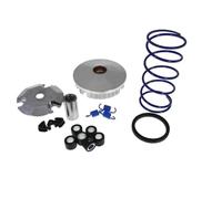 Variador Polini de alta velocidad Eco Kit - Adly (Her Chee) Thunderbike 50 (TB)