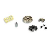 variator Malossi Multivar 2000 para Speedfight, ELYSEO, Trekker, Viva City 100 (Después de BJ. 9/99), pesos: 19 x 15,5 mm - 11 G Cat Modelos de 50