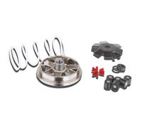 Variator Malossi Multivar für Suzuki StreetMagic, Gegendruckfeder: Weiss, Gewichte: 16x13mm - 6,00gr / 7,00gr