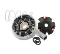 Variator Malossi Multivar para , muelle de contracompresión: blanco, pesos: 16 x 13 mm - 7,00 g Aprilia, Area 51, Gulliver, Rally, Sonic, SR, SR50, Benelli, 491, K2, Naked, Beta, Ark Chronra, CPI, Bingo, Hussar 10 mm, Palomitas KTM, Go, Quad. Tempo, Malaguti F12 Phantom, F15 Firefox, MBK, Equalis, Evolis, Fizz, Nitro, Mach G, Flipper, Ovetto, PGO, Big Max, G-Max, T-Rex, Revonec, GTX, Rex, Rexy, Silverstreet, Escape, Yamaha Aerox, Axis, Jog R, RR, Neos, Why 50