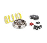 variator Malossi Multivar para Piaggio Sfera/Zip (Bj. 91 - 94), gegendruck Muelle: Blanco, Pesos: 16 x 13 mm - 6,00 gr