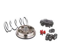 variator Malossi Multivar para, tumbado, gegendruck Muelle: Blanco, pesos: 16 x 13 mm - 8,5 Gr Peugeot, Buxy, ELYSEO, Elystar, Looxor, Speedake, New Viva de actividades, Viva City, Speedfight 1, 2