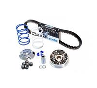 variator Polini Speed Control Eco Kit para Peugeot (variator, Correa, gegendruck Plumas, 2 x Pesas)