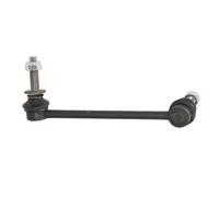 Varilla/puntal, estabilizador REINHOCH RH06-6004 izquierda