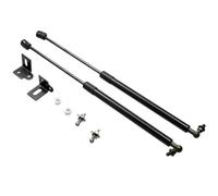 Varilla Soporte Hidráulico Compatible Con Chery Para Tiggo Para 8 Para Plus 2018 2019 2020 2021 2022 2023 Elevador Hidráulico Cubierta Delantera Varilla Hidráulica Varilla De Desaceleración