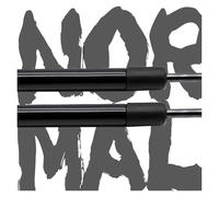 Varillas Hidráulicas Amortiguador Capó Para Fiat Para Punto Para Classic 1999-2004 Soporte Elevación Puntal Gas Delantero Resortes Modificados(Normal Black)