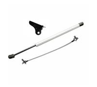 Varillas Hidráulicas Para Ford Para Fiesta Para 5. ° Para Classic Para Ikon 2002-2008 Capó Delantero Modificar Soporte Elevación Del Cilindro Puntal Gas(Silver Carbon Fiber)