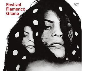 Varios - Festival Flamenco Gitano