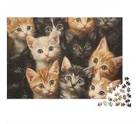 Varios Gatos Puzzle para Adultos Puzzle de 1000 Piezas Papel Relajante Puzzle para Toda la Familia 70x50cm/1000pcs