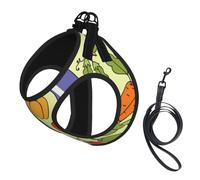 Varios Patrones de Vegetales,Arnés para Mascotas, arnés Reflectante Ajustable para Perros,S