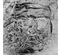 Varios - The Anteroom [Vinilo]