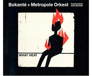 Varios - What Heat