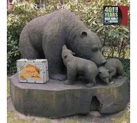 Various 40 Years Bear Family Records (CD) (Importación USA)