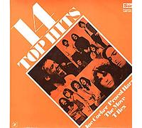 Various-60s & 70s - 14 Top Hits