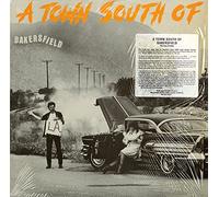 VARIOUS - a town south of bakersfield LP