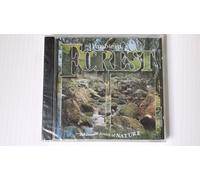 Various - Ambient Forest