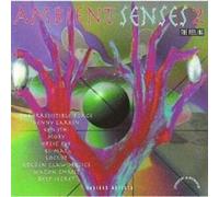 Various - Ambient Senses 2
