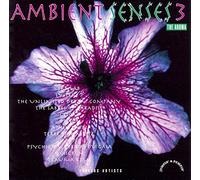 Various - Ambient Senses 3
