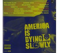 Various - America Is Dying Slowly
