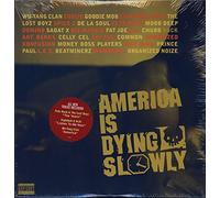 Various - America Is Dying Slowly [Vinilo]