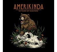 Various - Amerikinda: 20 Years Of Dualtone [Vinilo]